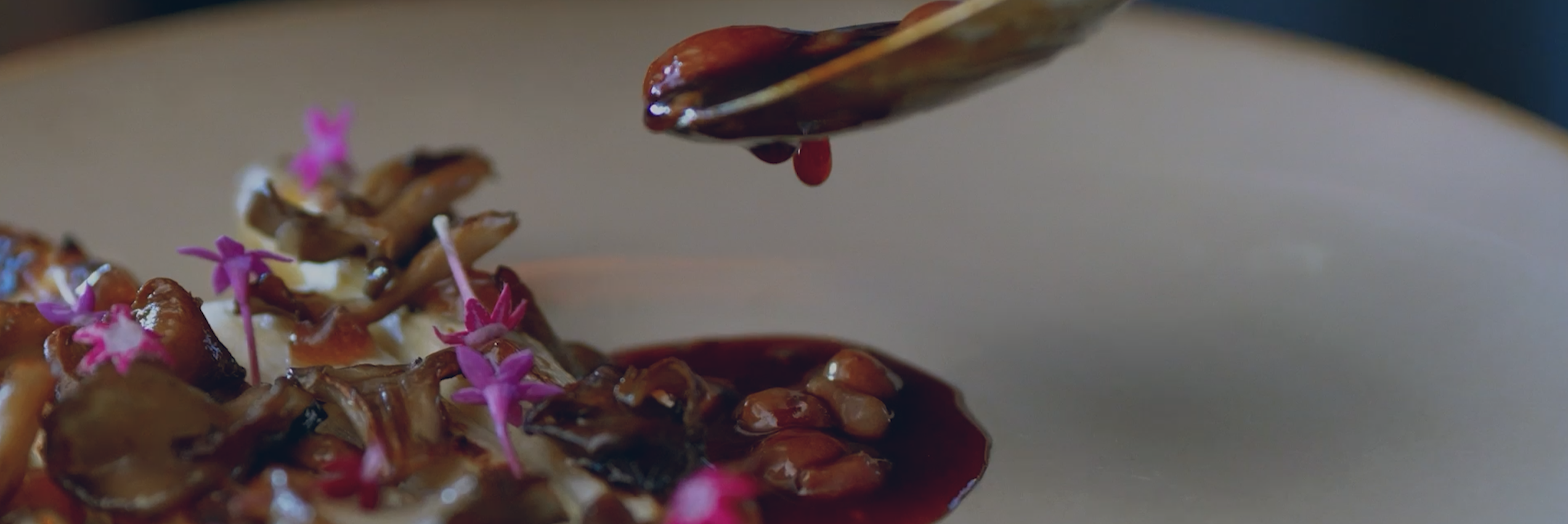 Video Fallback Image