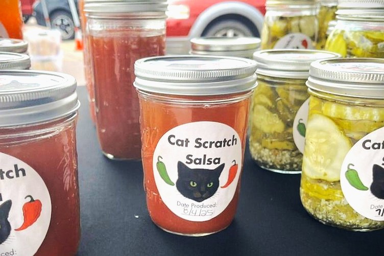 Cat Scratch Salsa